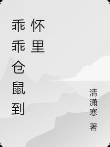 将门重生之冷艳王妃