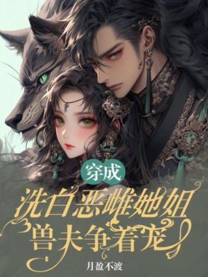 文贼啥意思
